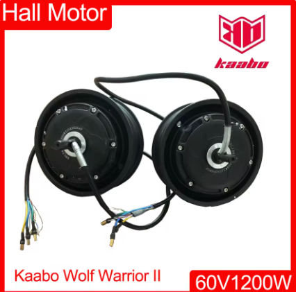 HALL MOTOR